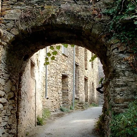 Charming In The Groves Near The Sea *