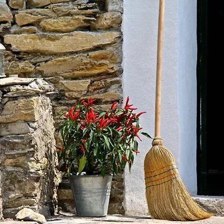 Apartment Charming In The Groves Near The Sea