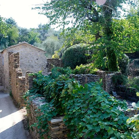 Charming In The Groves Near The Sea
