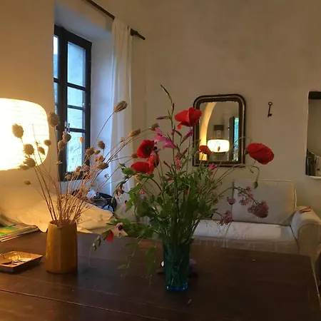아파트 Charming In The Groves Near The Sea Bellissimi
