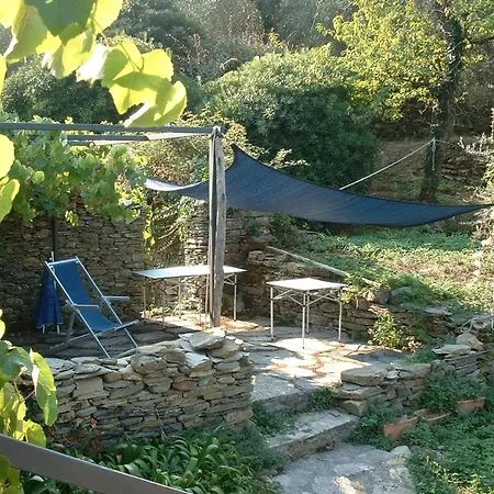 Charming In The Groves Near The Sea Apartman *