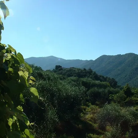Charming In The Groves Near The Sea Appartamento *