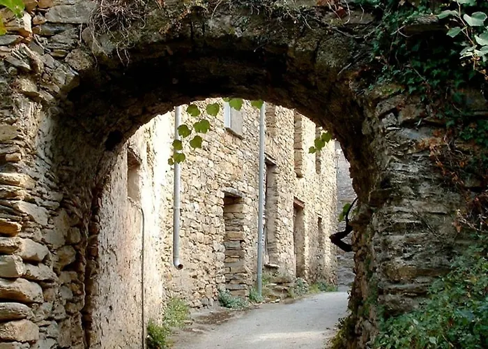 Charming In The Groves Near The Sea *