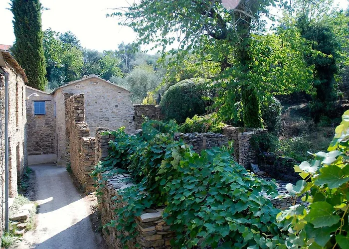 Charming In The Groves Near The Sea