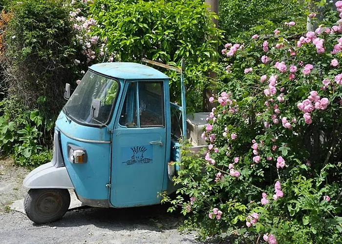 Charming In The Groves Near The Sea * Bellissimi