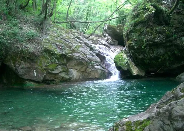 Charming In The Groves Near The Sea Appartamento